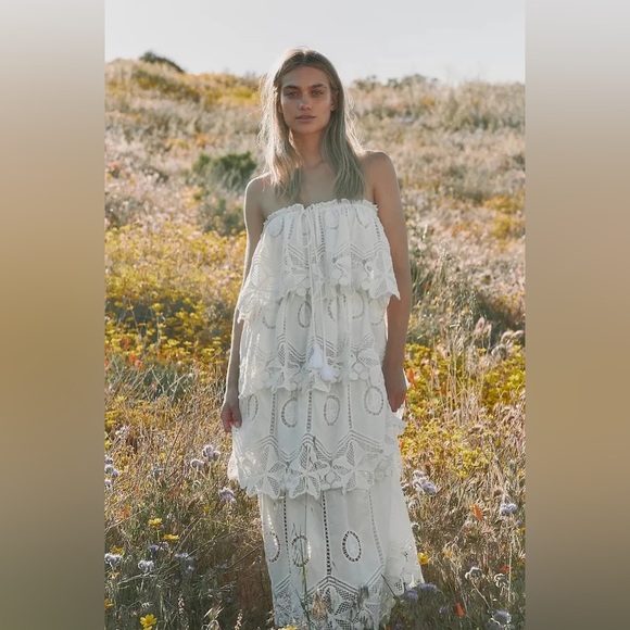 Free People Dresses & Skirts - Ollari Iris Maxi Dress Free People